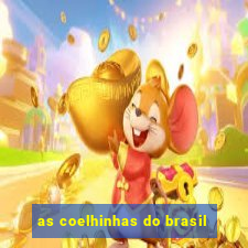 as coelhinhas do brasil